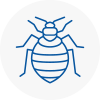 Bed Bug Extermination In Rainham