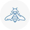 Bee Nest Removal Rainham