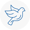 Bird Prevention Rainham