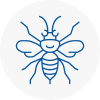 Rainham Hornet Nest Removals