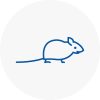 Mice Exterminators In Rainham