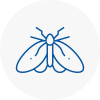 Moth Control Specialists In Rainham