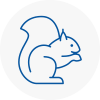 Rainham Rodent Removals
