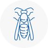 Rainham Wasp Nest Removal